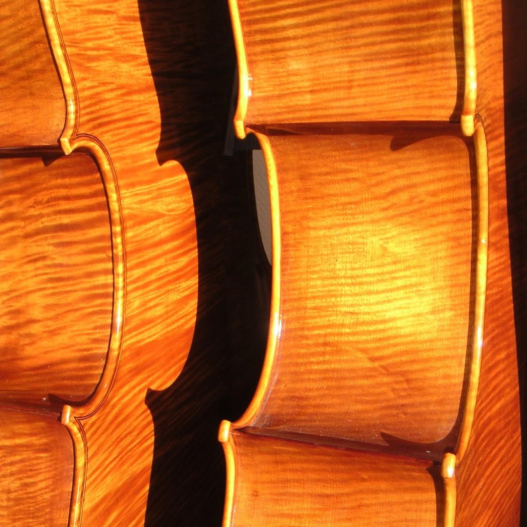 Lutherie Sur Seine 3